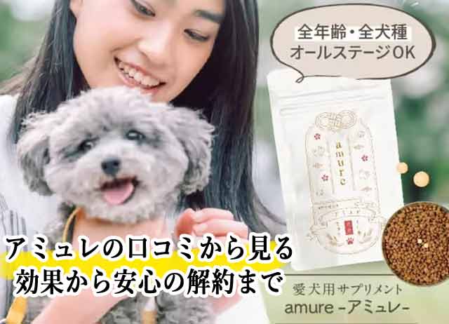 アミュレ犬サプリの口コミから見る効果から安心の解約まで