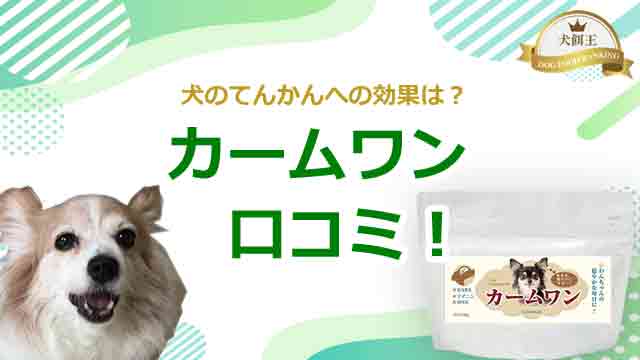 カームワン口コミ!犬のてんかんへの効果は?愛犬の口コミ公開