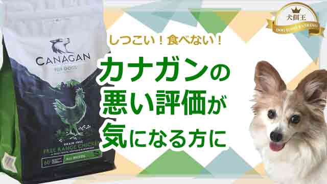 カナガンはしつこい！食べない！の悪い評価が気にある方に！