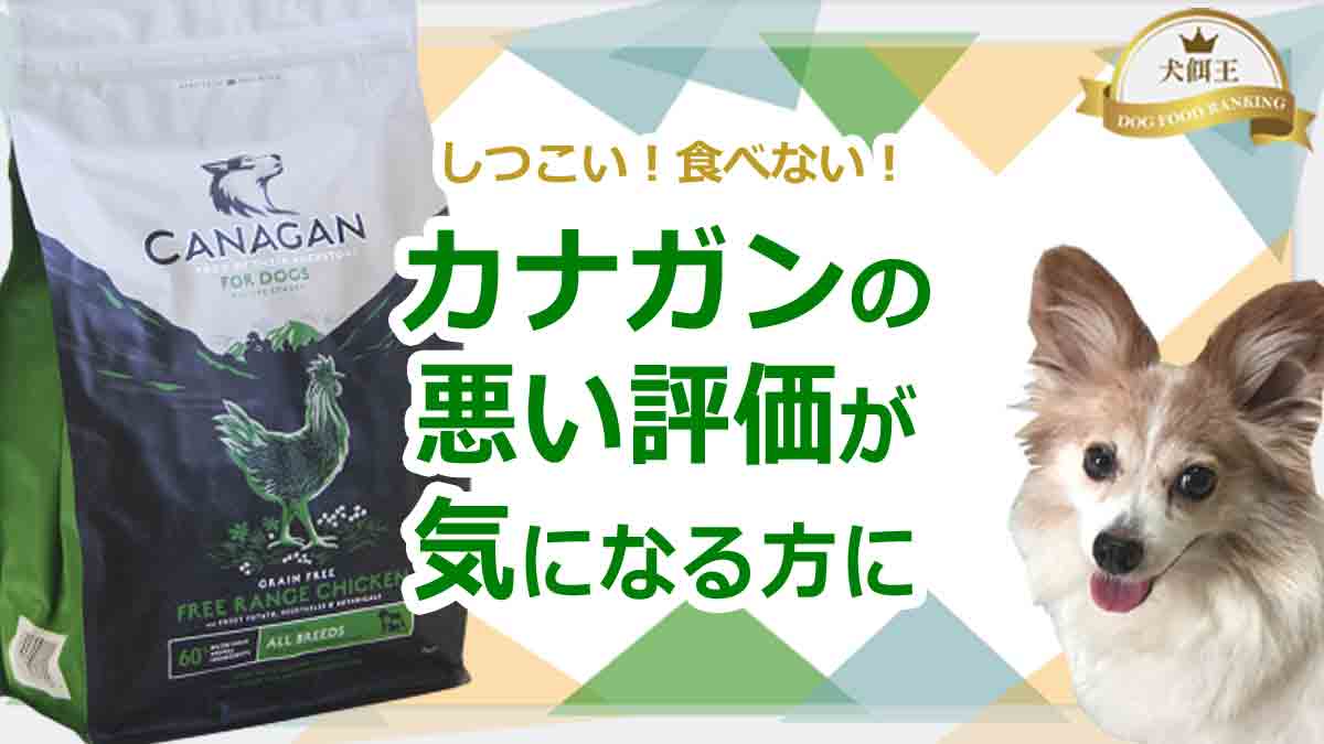 カナガンはしつこい！食べない！の悪い評価が気にある方に！