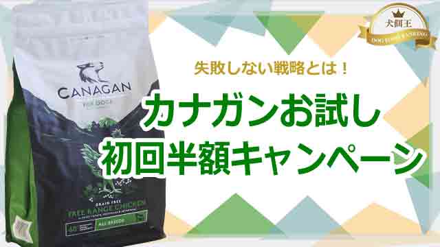 カナガンお試し初回半額キャンペーン戦略