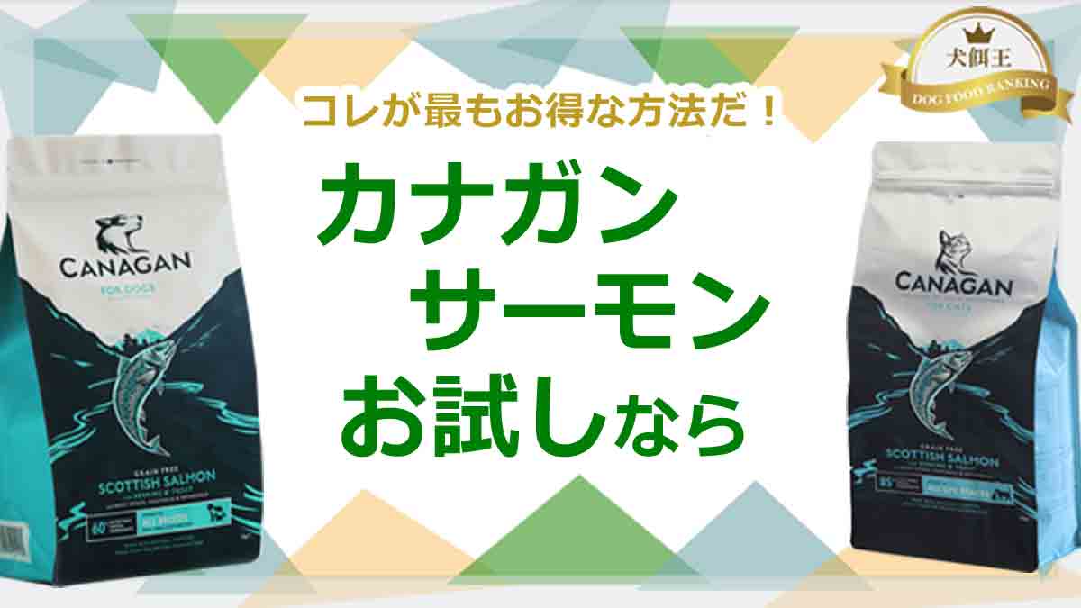 カナガンサーモンのお試しなら！ドッグフード＆キャットフード