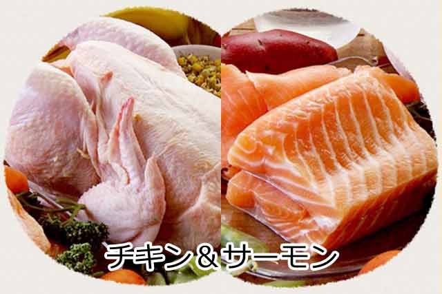 モグワンとカナガンで食いつきに違いは？食べない時には！