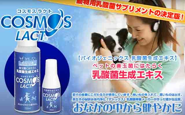 コスモスラクトと涙やけ：体内環境からのアプローチ