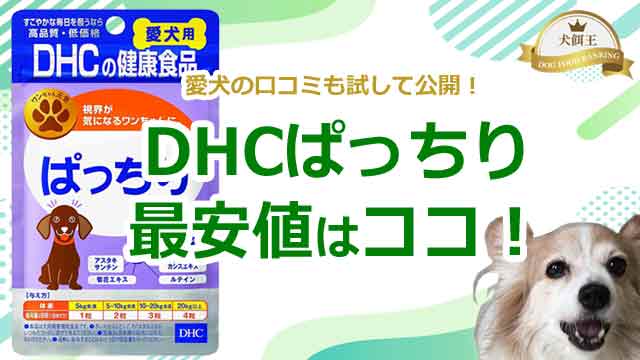 DHCぱっちり最安値はココ!愛犬の口コミも試して公開!