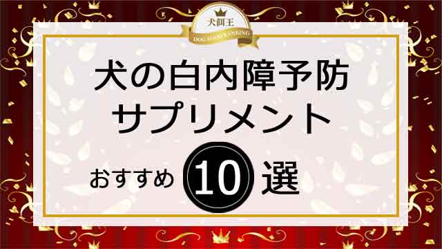 犬の白内障予防のサプリメントおすすめ10選！無添加で比較