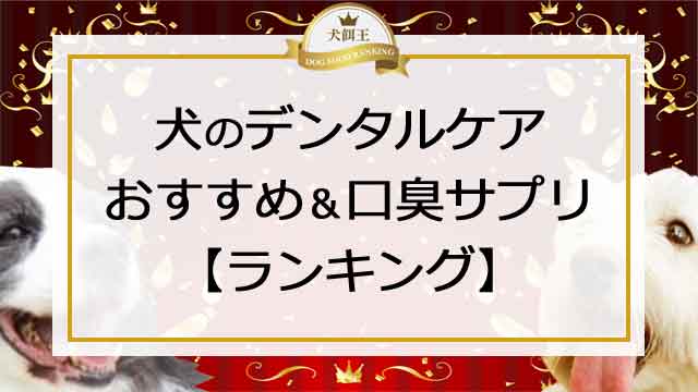犬のデンタルケアおすすめ＆口臭サプリ【ランキング】