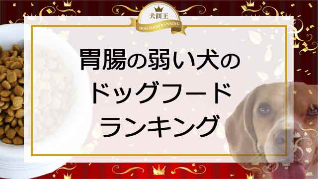 胃腸の弱い犬のドッグフード！市販を含めたおすすめランキング