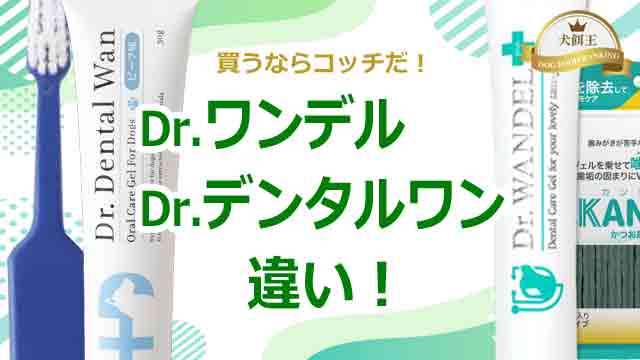 ドクターワンデルとドクターデンタルワンの違い！買うならコッチだ！