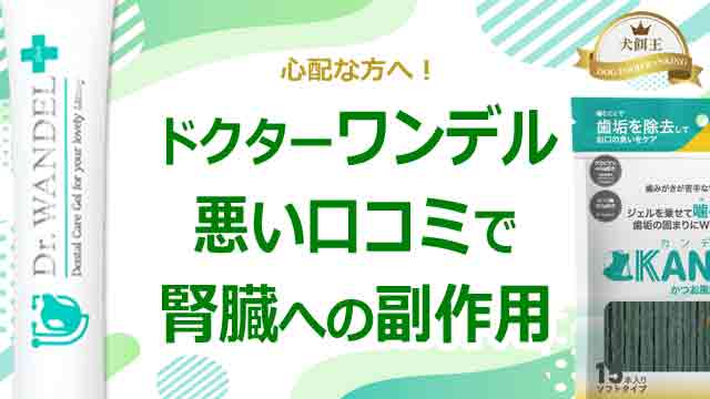 ドクターワンデルの悪い口コミで腎臓への副作用が心配な方へ!