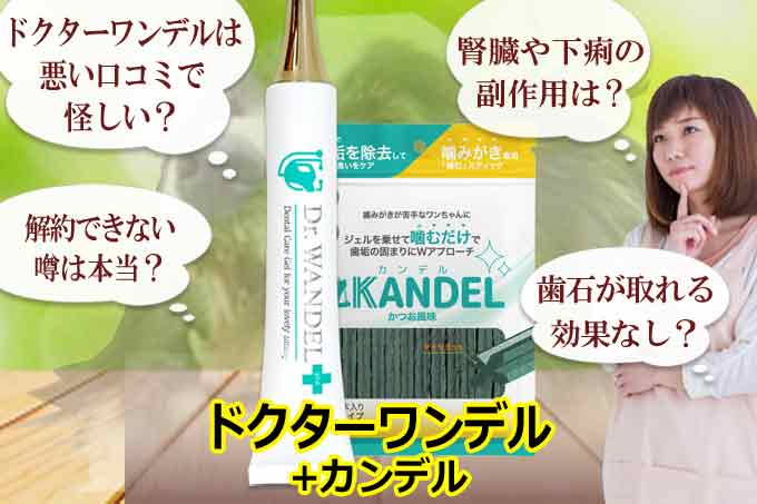ドクターワンデル悪い口コミで腎臓への副作用は！解約できないとは！