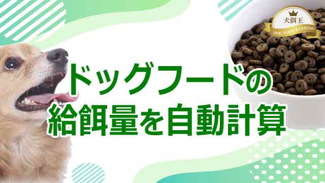 ドッグフード給餌量の自動計算！子犬～老犬の餌の量を一発で