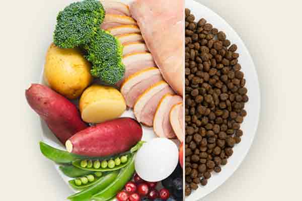 他の人気ドッグフードとの比較でわかる強み(食いつき・安全性)