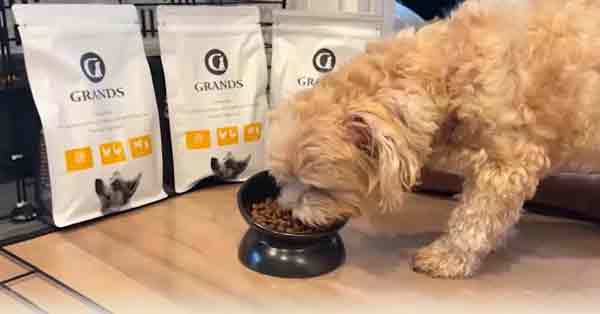 毛艶・皮膚コンディションに関する口コミ