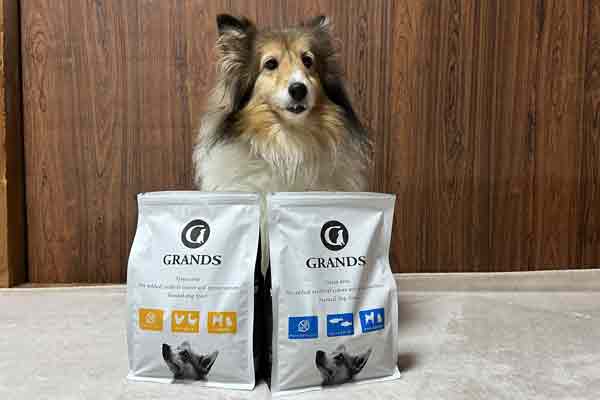 筆者が体験したグランツドッグフードの口コミ(実感レポート)