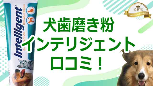 犬歯磨き粉インテリジェントの口コミ！歯石や口臭はなくなるのか？