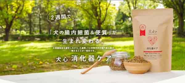 犬心の口コミから怪しいと感じる限界とは