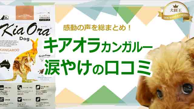 キアオラカンガルーの涙やけの口コミで評価は！感動の声を総まとめ！