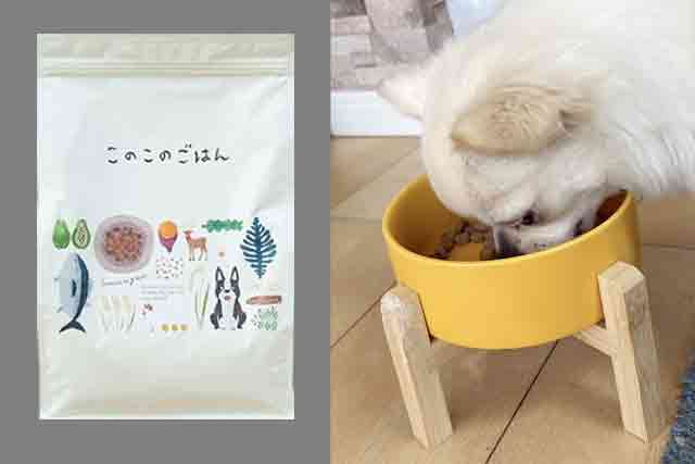 このこのごはんをチワワに与える量やお得な購入方法