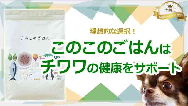 このこのごはんはチワワの健康をサポートする理想的な選択!