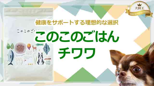 このこのごはんはチワワに最適！口コミ・量・価格を徹底検証！