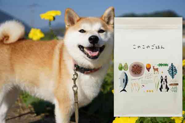 このこのごはんの成分がダイエットに適している根拠