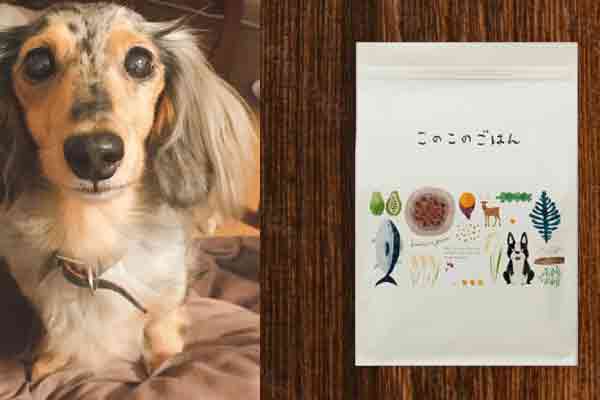 このこのごはんダイエットを成功させる正しい与え方