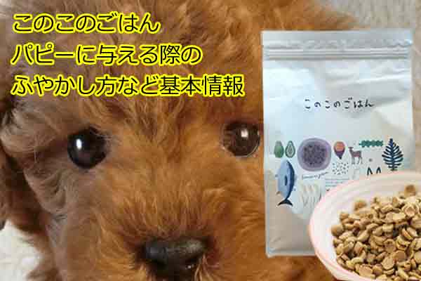 このこのごはんをパピーに与える際のふやかし方など基礎情報