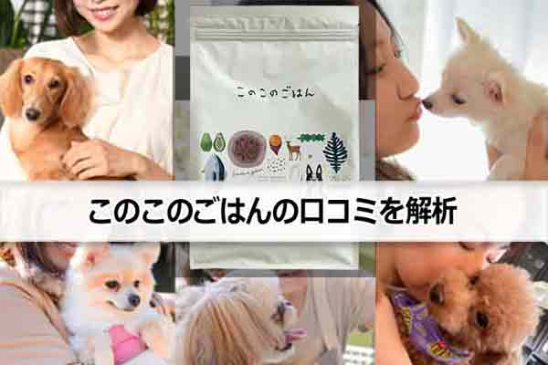 このこのごはん良い評判と悪評を分析