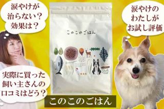 このこのごはん涙やけが治らない？効果を口コミと愛犬で検証