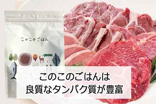 このこのごはんは高タンパクで中型犬の筋肉維持に最適