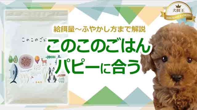 このこのごはんはパピーに合う!給餌量~ふやかし方まで解説