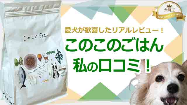 このこのごはん私の口コミ!愛犬が歓喜したリアルレビュー!