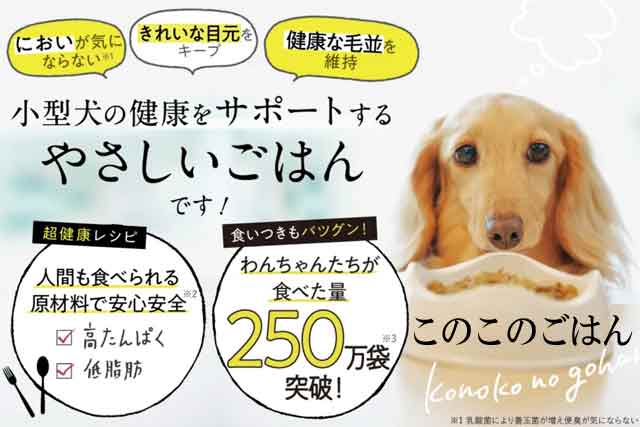 このこのごはん
