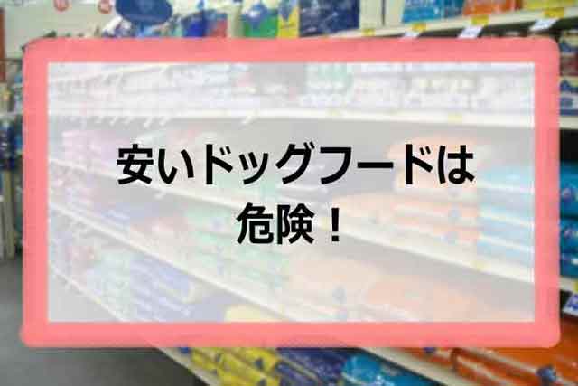 安いドッグフードは危険！愛犬の健康を守るための賢い選択