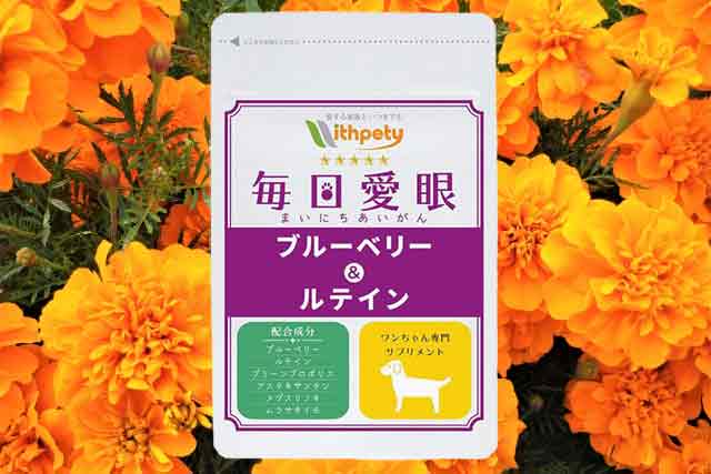 毎日愛眼の口コミから最安値の購入へ進む手順