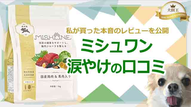 ミシュワン涙やけの口コミ！私が買った本音のレビューを公開