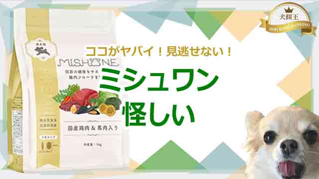 ミシュワンの怪しい点を全解説！ココがヤバイ！見逃せない！