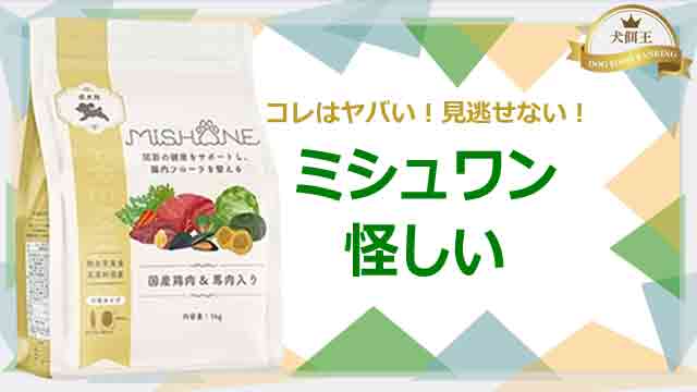 ミシュワンの怪しい点を全解説！コレはヤバイ！見逃せない！
