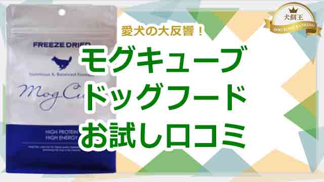 モグキューブドッグフードの口コミ!お試しした愛犬の大反響!