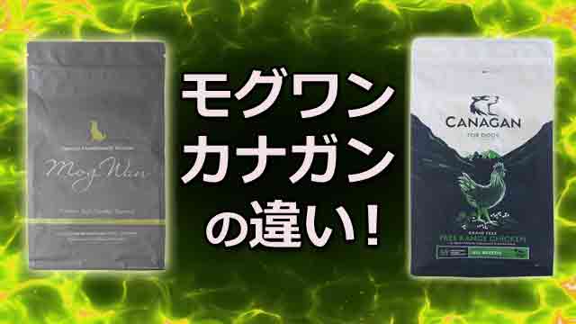 モグワンとカナガンの違い！食いつきや涙やけで比較！どっちが良い！