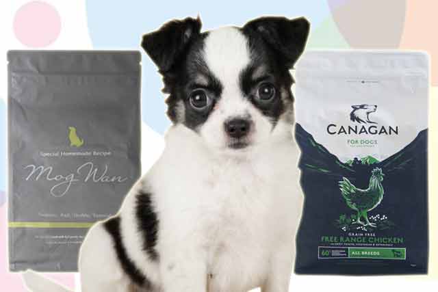 モグワンとカナガンで子犬に合うのは？対象年齢の違いで比較