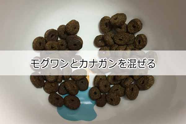 モグワンとカナガンを混ぜる