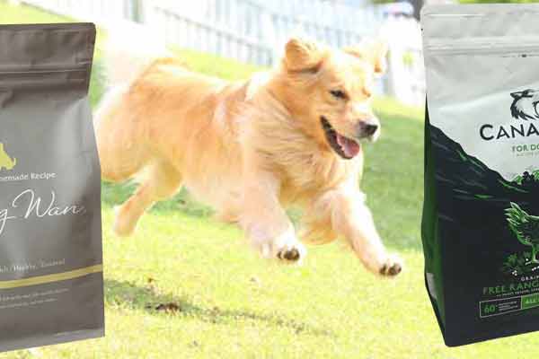 モグワンとカナガンでシニア犬に良い関節への優しさの違いを比較