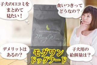 モグワンの子犬の口コミが凄い！相性が神すぎてリピ確実な件