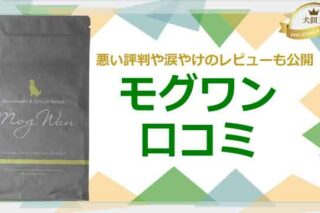 私のモグワン口コミ｜悪い評判や涙やけ体験も公開！