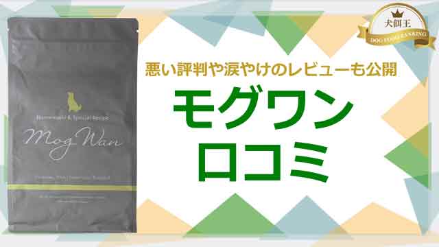 私のモグワン口コミ｜悪い評判や涙やけ体験も公開！