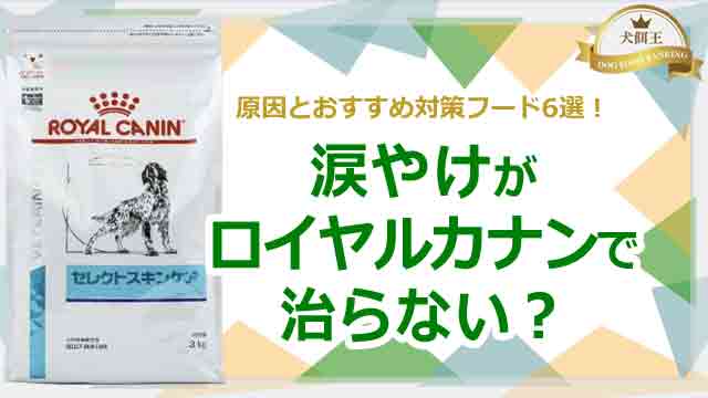 涙やけがロイヤルカナンで治らない？原因とおすすめ対策フード6選！