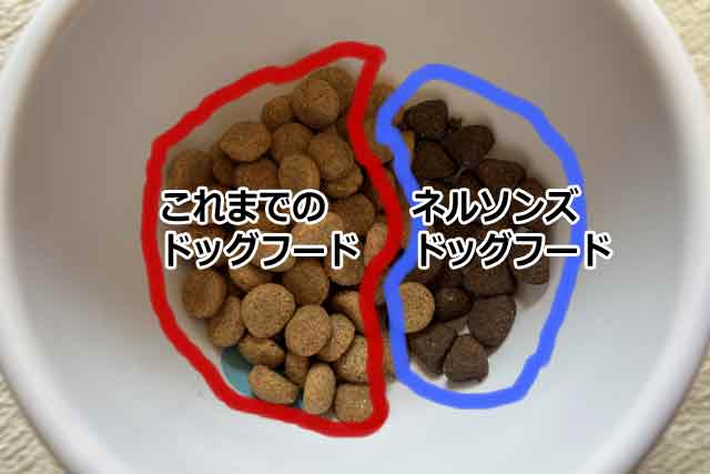 急なフード切り替えが下痢の原因になる