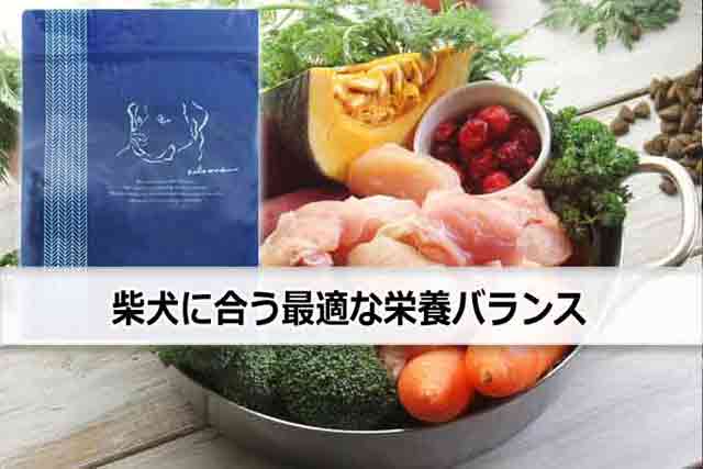 柴犬に合う最適な栄養バランス